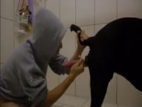Kinky beastiality lover jerking off and sucking dog dick